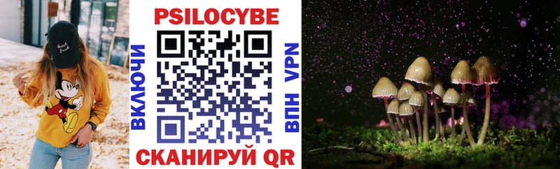 Галлюциногенные грибы Psilocybine cubensis Мензелинск